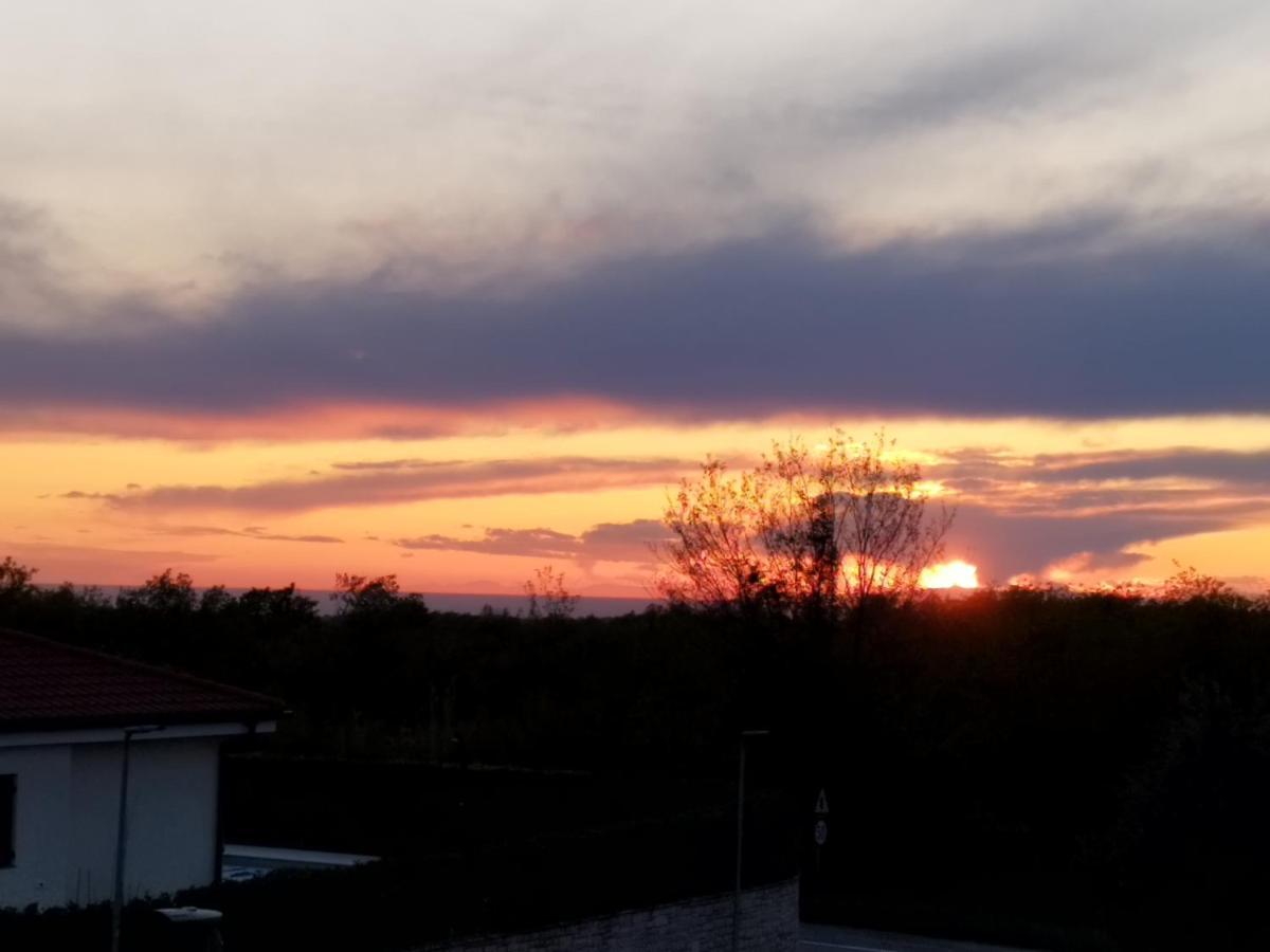 Apartmán Tonis Buje Exteriér fotografie